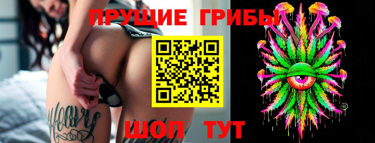 Псилоцибиновые грибы ЛСД  купить наркоту  Вичуга  Вход с VPN  Псилоцибиновые грибы Psilocybine cubensis 