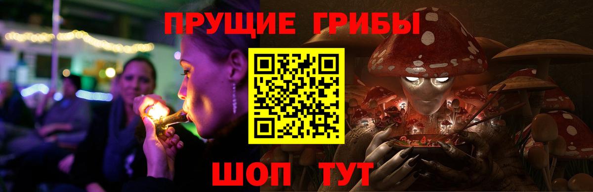 Псилоцибиновые грибы Cubensis Вичуга